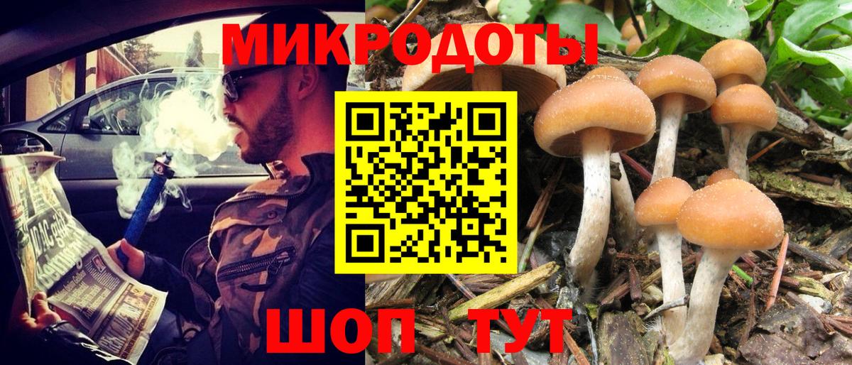 Ишимбай  Галлюциногенные грибы Psilocybe  Вход с VPN  Псилоцибиновые грибы Magic Shrooms 